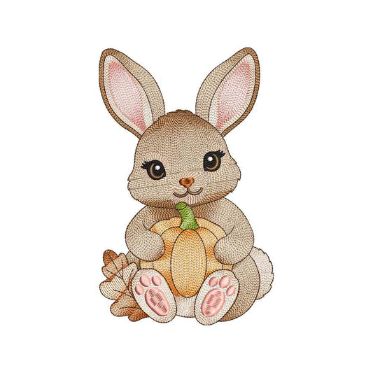 Cute Autumn Bunny With Pumpkin Ripple Machine Embroidery Design File - SG04092602