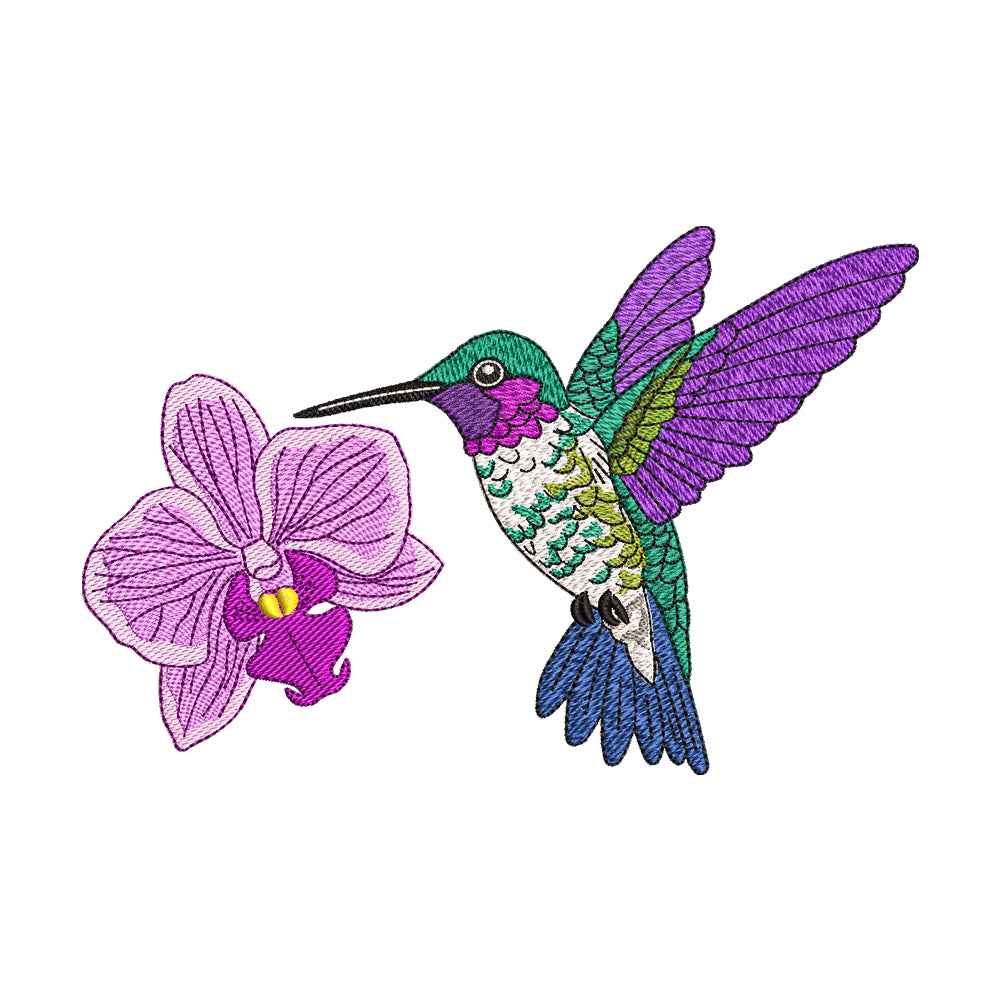 Hummingbird and Orchid Embroidery Design - SG080401