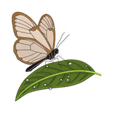 Glasswing Butterfly on a Leaf Embroidery Design - SG110401