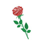 Flower machine embroidery designs rose- 710004