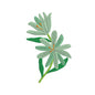 Flower embroidery designs for machine - 710006