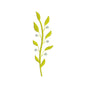 Flower machine embroidery designs branch - 710026