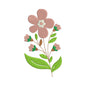 Lovely flower machine embroidery designs - 710040