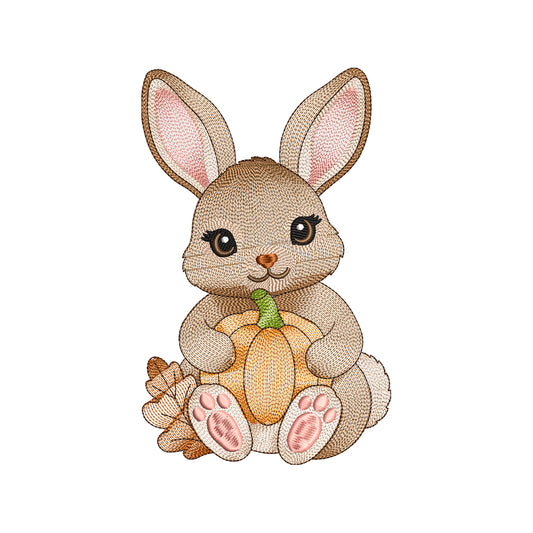 Cute Autumn Bunny With Pumpkin Ripple Machine Embroidery Design File - SG04092602