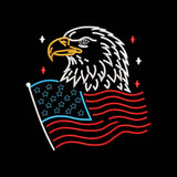 Bald Eagle American Flag Embroidery Design Patriotic USA 4th of July - SG06062603
