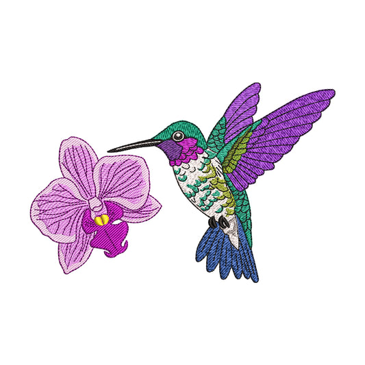 Hummingbird and Orchid Embroidery Design - SG080401