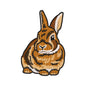 Realistic Brown Rabbit Embroidery Design - SG240320