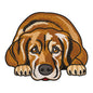 Soulful Brindle Dog Embroidery Design - SG240323