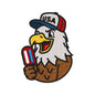 Patriotic Eagle Embroidery Design USA 4th of July Popsicle - SG25042608