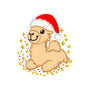 Christmas Camel Appliqué Embroidery Design - SG25102604