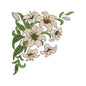 Elegant Lily Corner Embroidery Design - SG300305